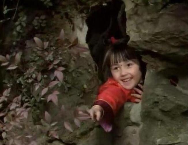 黑龙江出生，演过日版流星花园，娶中国小演员，后出轨日本女星