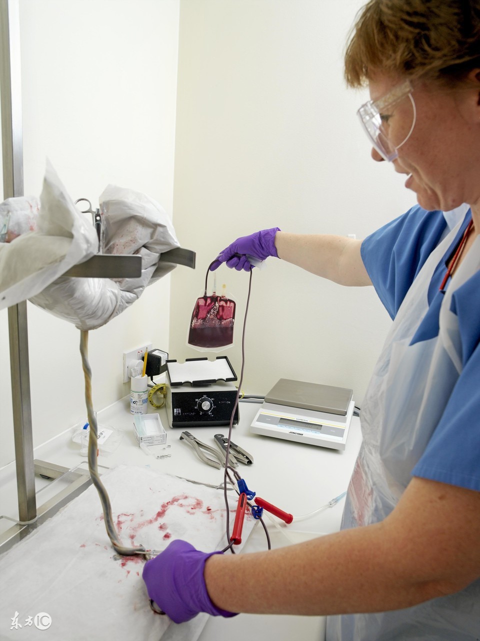 生完孩子的胎盘大家都怎么处理的,生完宝宝了胎盘怎么处理最好