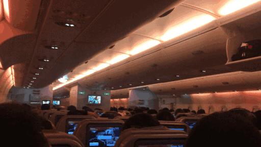 阿联酋阿布扎比和迪拜旅游,阿联酋阿布扎比深度游