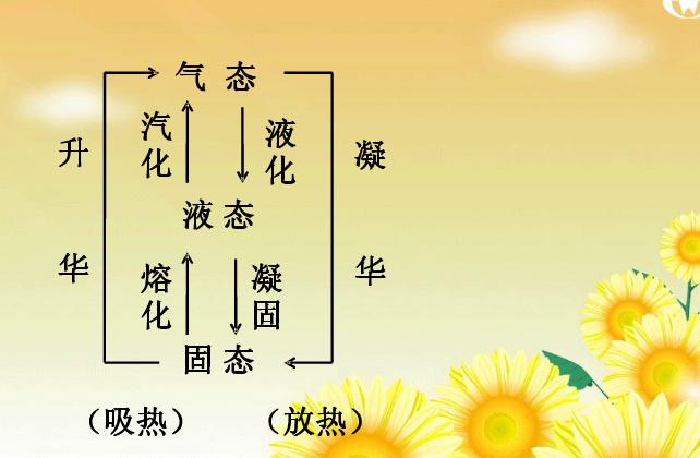 初二物理期末复习知识点,初三物理第一轮复习知识点