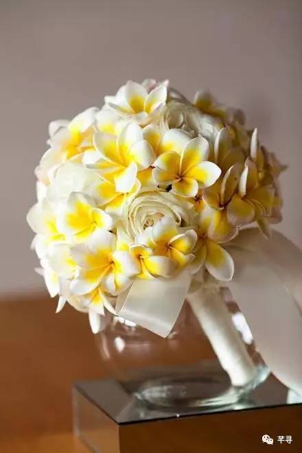 复古捧花品种,常见捧花品种