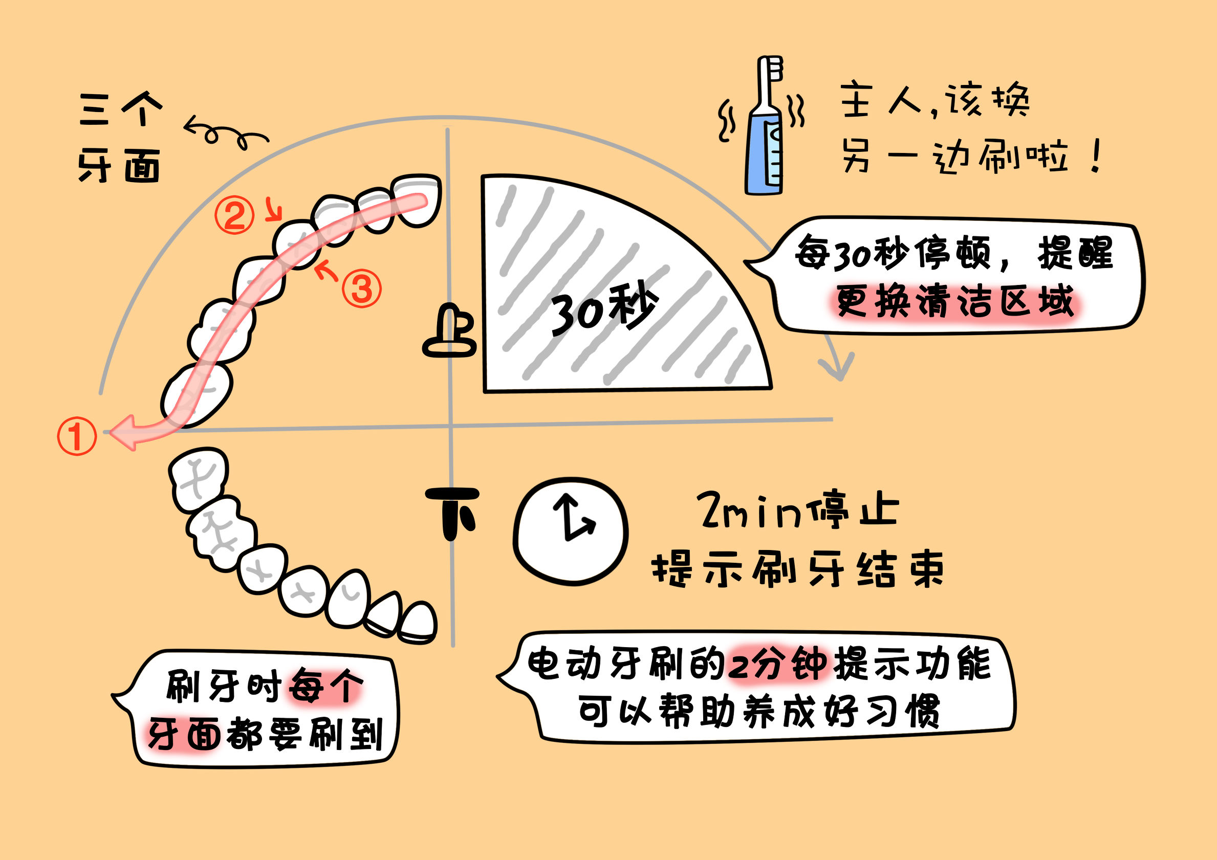 电动牙刷的正确使用方法完整版,电动牙刷的正确使用