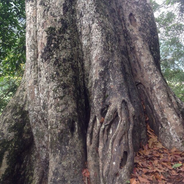 今天它是块木头，明天就是块宝
