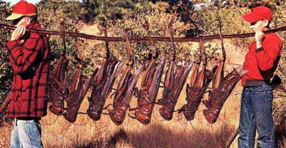 10个人体器官最大的世界纪录,巨大的人体器官