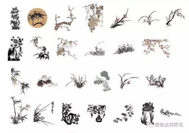 中国国花有什么样的品质,中国国花有什么品质