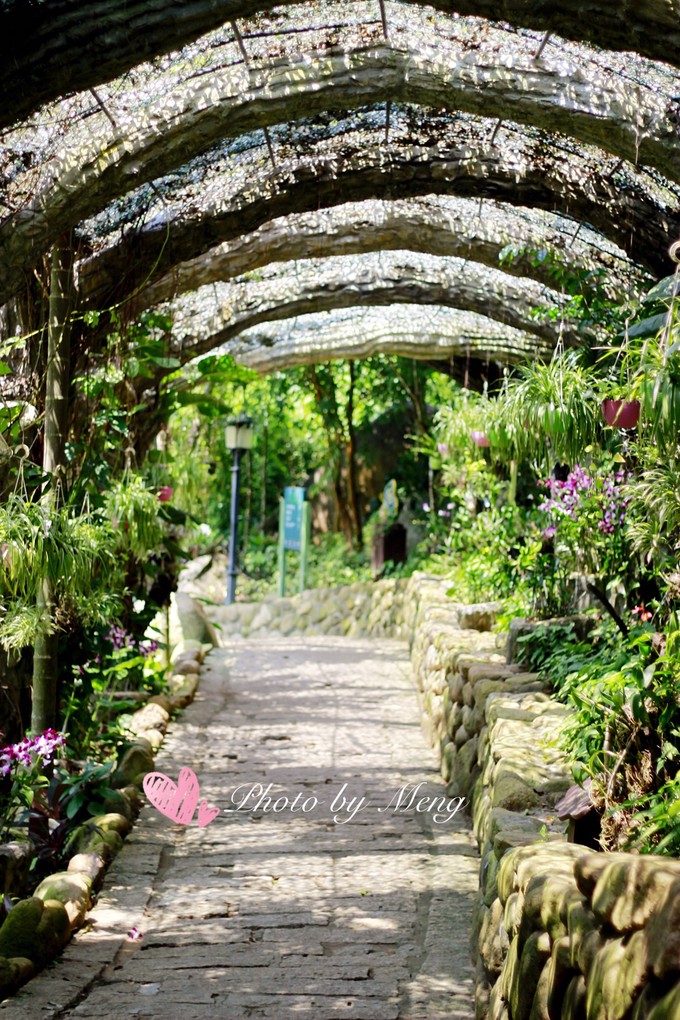 广州长隆水上乐园亲子游攻略视频,珠海长隆海洋快速通道亲子游攻略