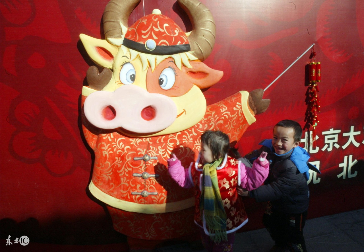 生肖运势命理学解释大全,怎么通过八字看生肖每日运势