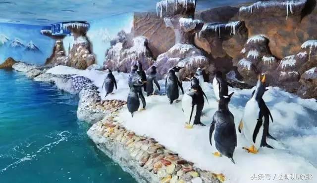 3小时免签小众海岛,可以免签的冷门海岛