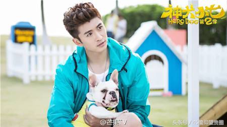 高伟光张彬彬刘芮麟张云龙同框,杨幂张云龙张彬彬白宇