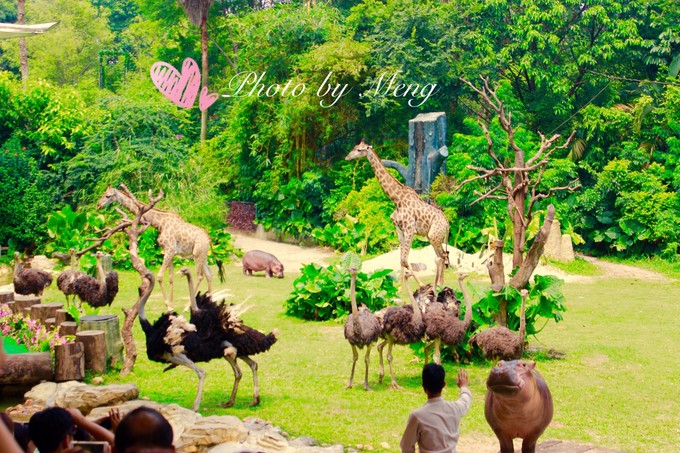 广州长隆水上乐园亲子游攻略视频,珠海长隆海洋快速通道亲子游攻略