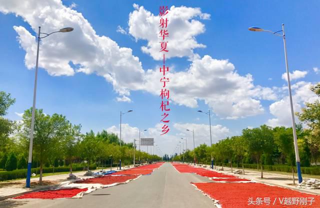 「影射华夏上」天下黄河富宁夏，初体验！