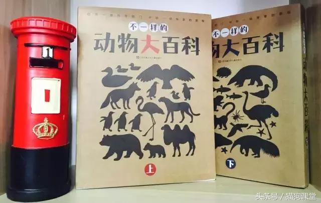在动物园如何给孩子科普动物知识,7-12岁儿童动物世界科普