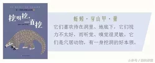 在动物园如何给孩子科普动物知识,7-12岁儿童动物世界科普