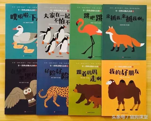 在动物园如何给孩子科普动物知识,7-12岁儿童动物世界科普