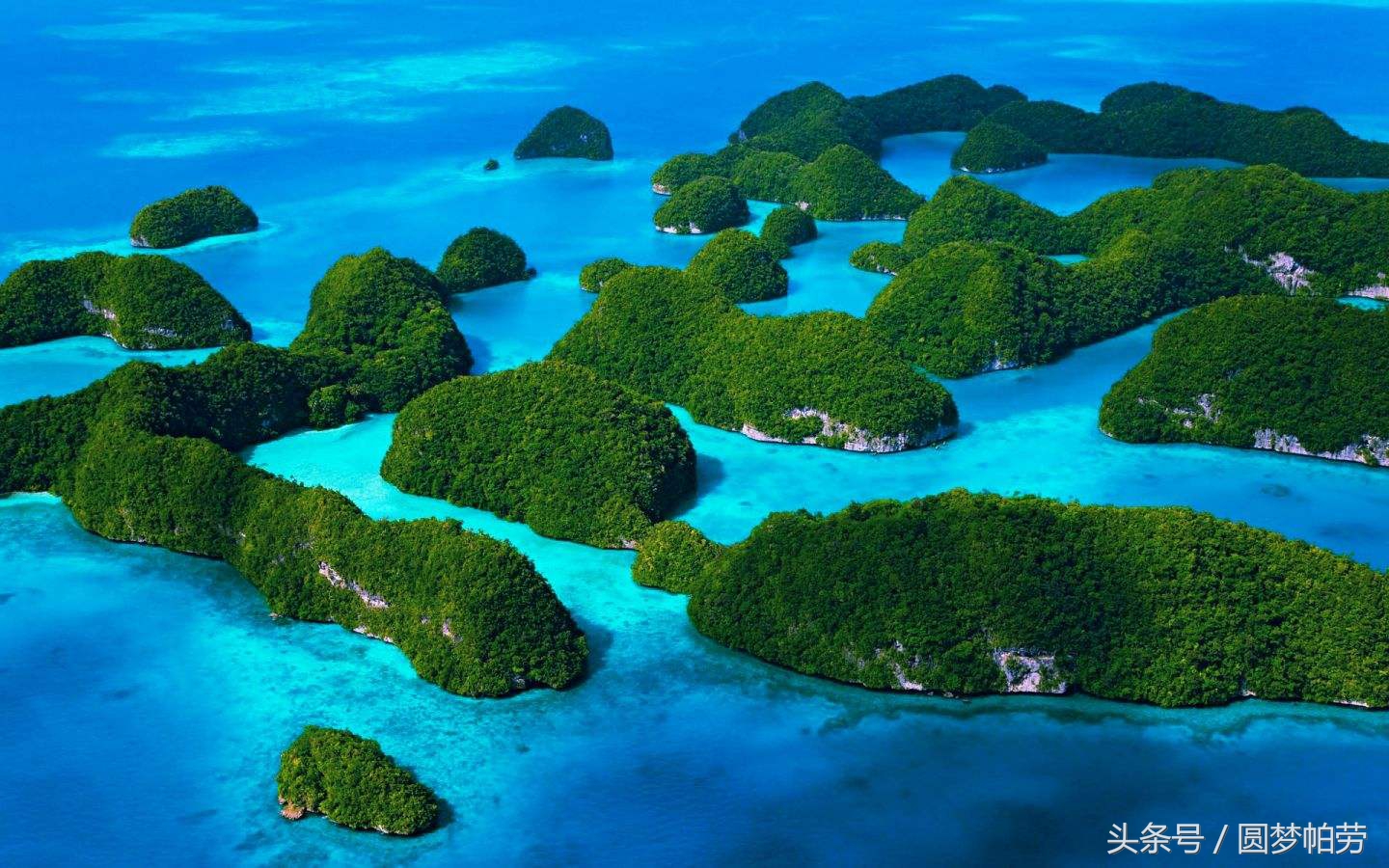 帕劳自由行旅行,帕劳自由行哪里最好玩