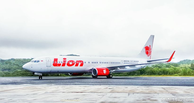 帕劳自由行旅行,帕劳自由行哪里最好玩