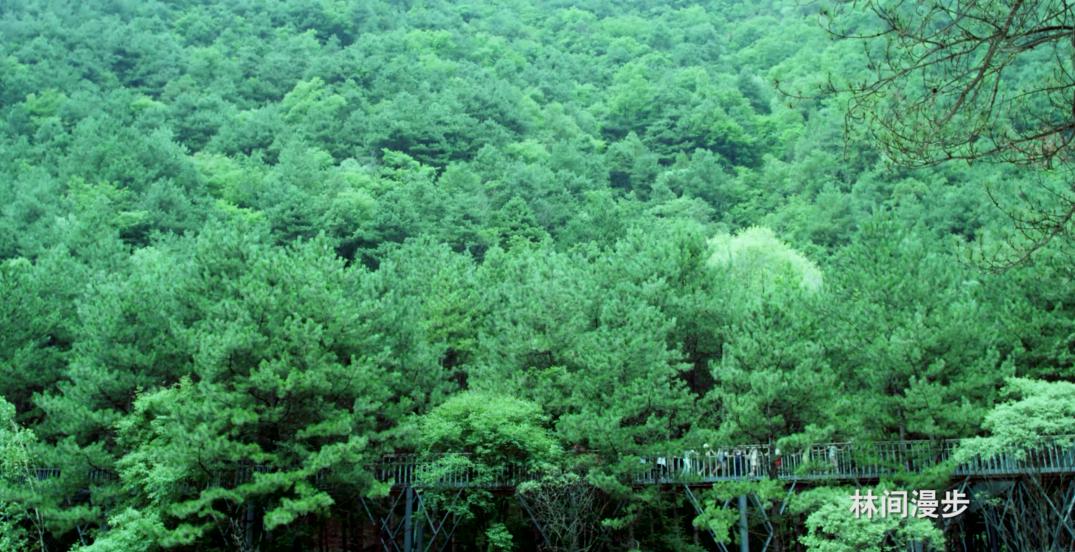 西安七夕公园,西安七夕公园有什么好玩的