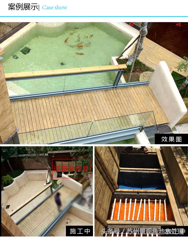 帆布池也能养好锦鲤,水池里怎样养好锦鲤