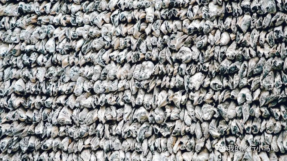 珠海长隆野生动物园旅游攻略,广州长隆自驾游旅游攻略