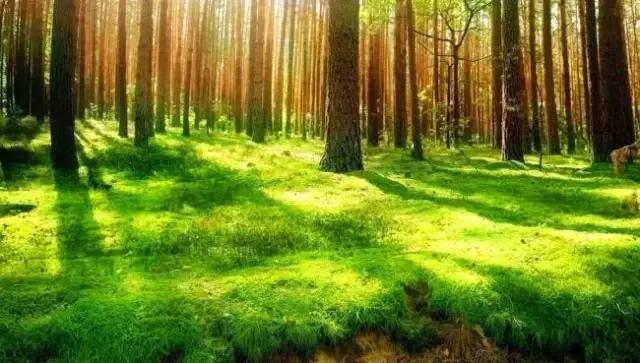 和龙夏天避暑的地方,龙州县避暑胜地