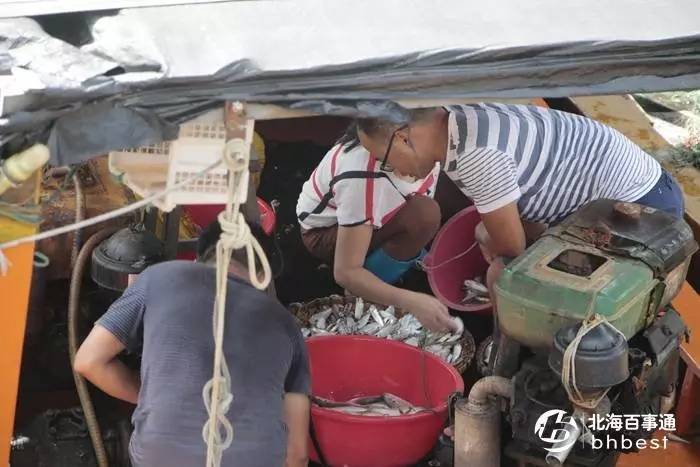 开海不开海去饭店吃海鲜有区别吗,开海了南宁去哪里买海鲜