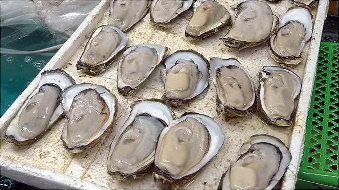 开海不开海去饭店吃海鲜有区别吗,开海了南宁去哪里买海鲜