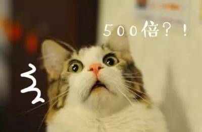 含有虾青素的狗粮幼犬,适合贵宾补钙的狗粮