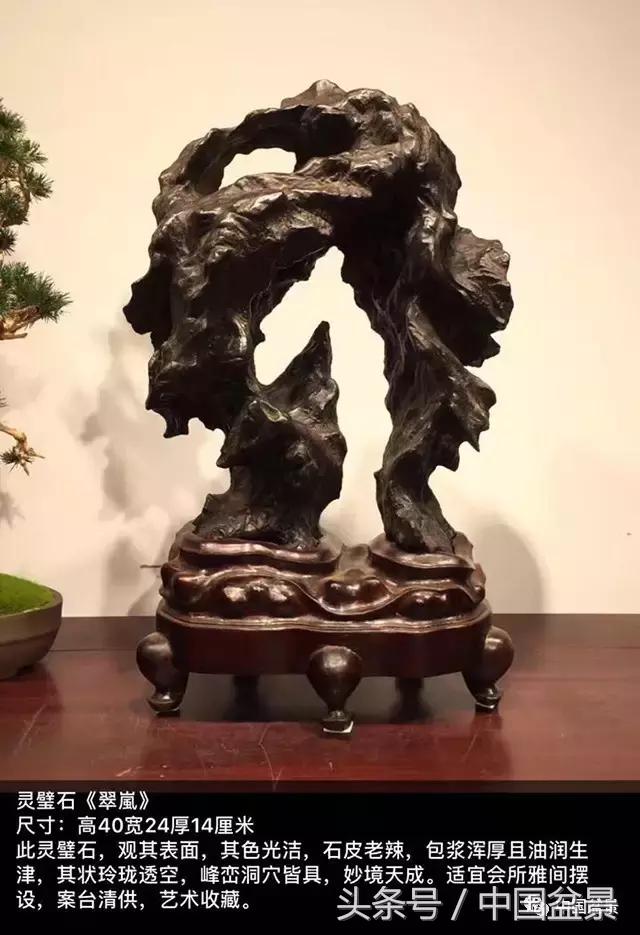 盆景的意境之美,优雅的盆景