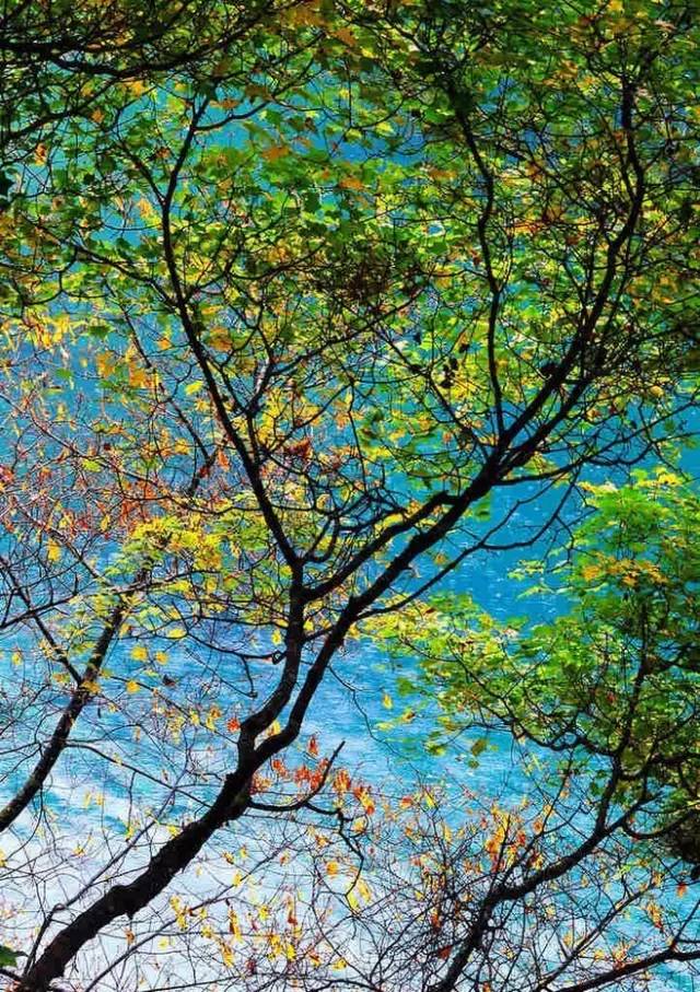 金山岭长城最美时间,金山岭长城景色哪段最美