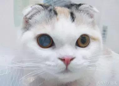 葡萄酒：男人的加油站，女人的美容院！