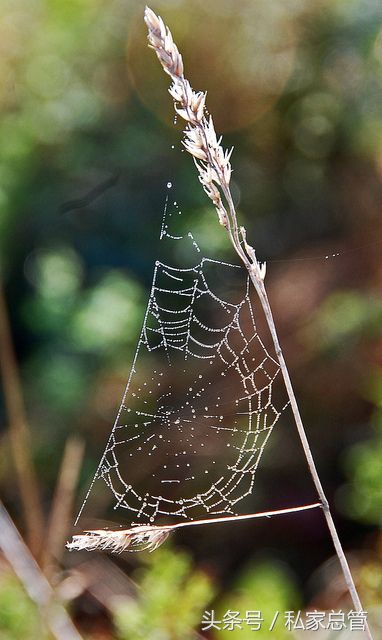 爱一个人陷于才华忠于人品,爱一个人始于颜值敬于爱情