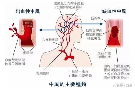 葡萄酒：男人的加油站，女人的美容院！