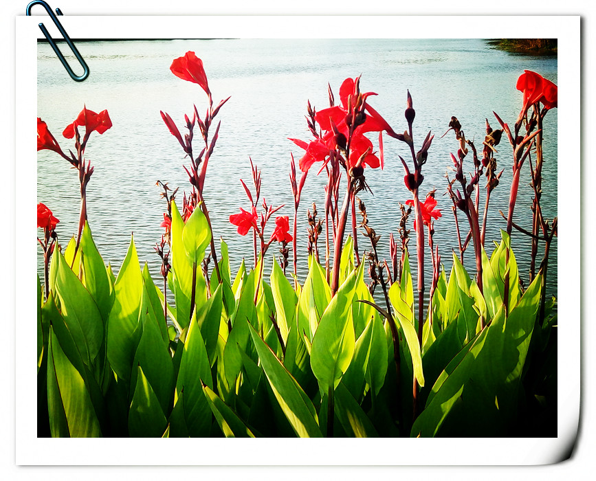 人际关系胸怀格局的经典语录,做人需要做到的人际关系