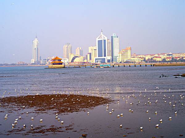 青岛大连之旅,文艺之旅