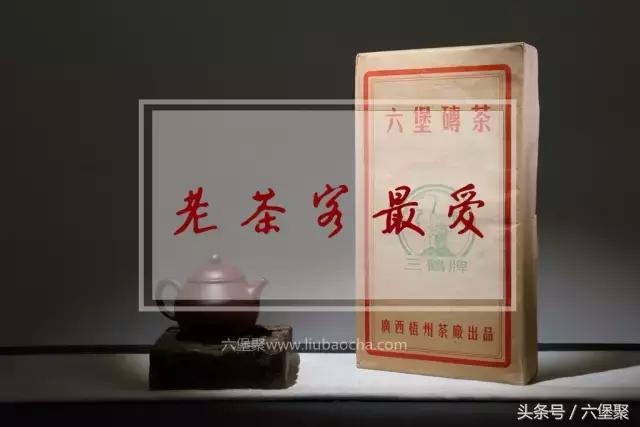 「围观」老茶与你的故事，即将开始