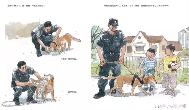 在动物园如何给孩子科普动物知识,7-12岁儿童动物世界科普