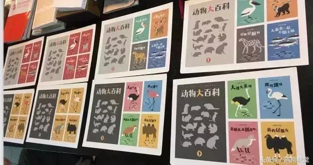 在动物园如何给孩子科普动物知识,7-12岁儿童动物世界科普