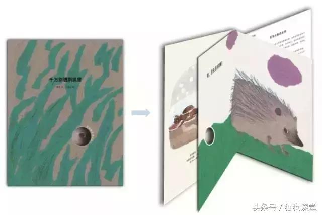 在动物园如何给孩子科普动物知识,7-12岁儿童动物世界科普