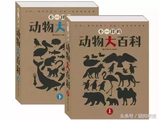在动物园如何给孩子科普动物知识,7-12岁儿童动物世界科普