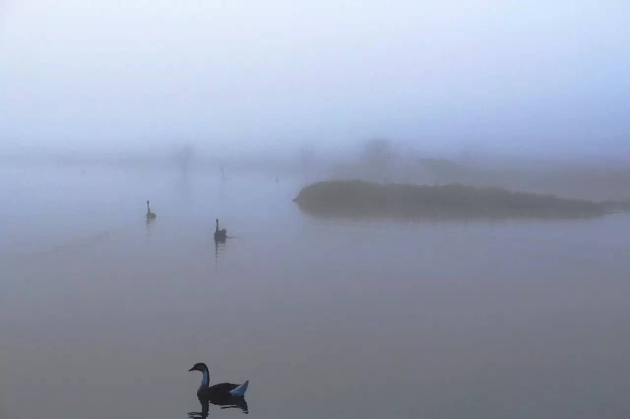 北纬30°神秘之境，在高山草甸、追逐鹿群，这里美的像天堂！