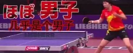 荐剧｜做不了最美花仙子，那就做一只最最欢脱的奇葩吧