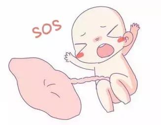 孕期须知：哪些异常胎动需要密切留意？