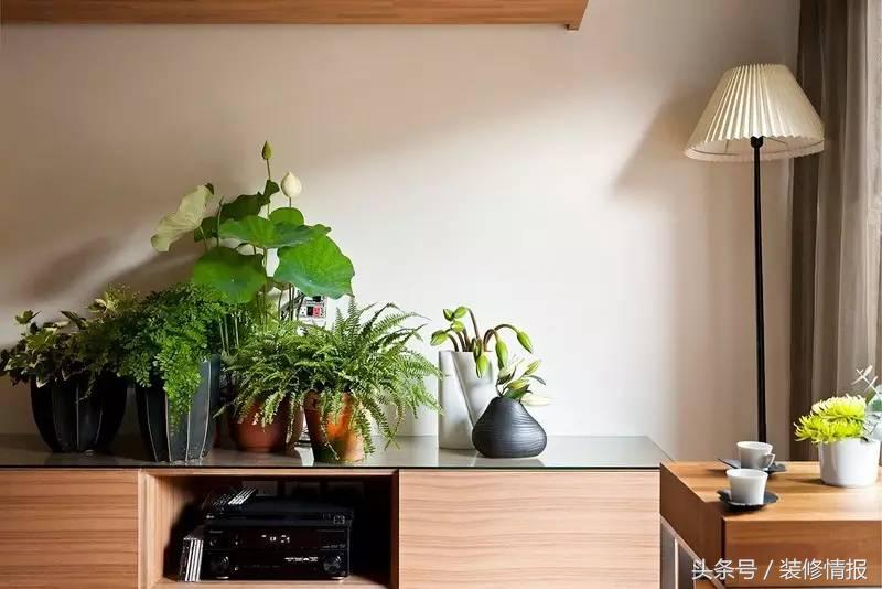 给90后小情侣装修的婚房,90后情侣装修婚房给邻居