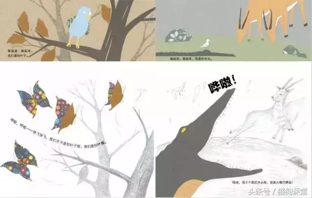 在动物园如何给孩子科普动物知识,7-12岁儿童动物世界科普