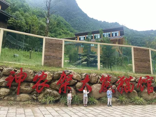 北纬30°神秘之境，在高山草甸、追逐鹿群，这里美的像天堂！