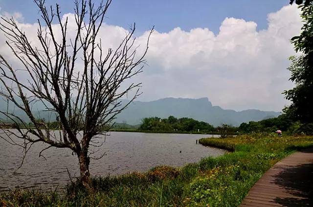 北纬30°神秘之境，在高山草甸、追逐鹿群，这里美的像天堂！
