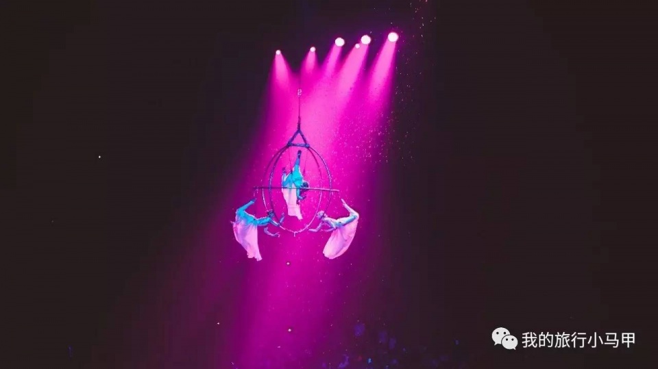 珠海长隆野生动物园旅游攻略,广州长隆自驾游旅游攻略