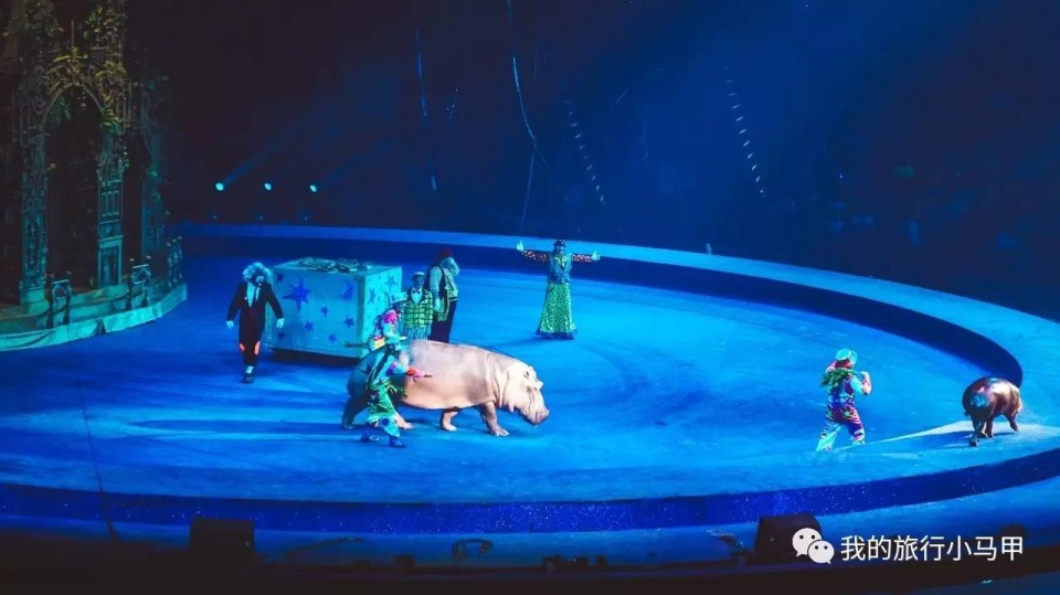 珠海长隆野生动物园旅游攻略,广州长隆自驾游旅游攻略