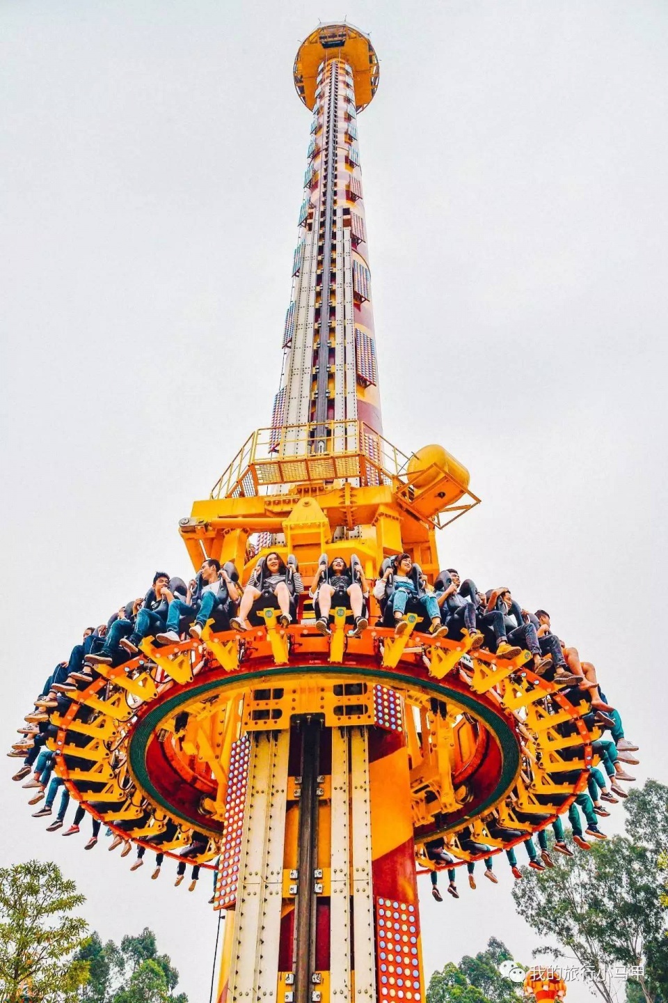 珠海长隆野生动物园旅游攻略,广州长隆自驾游旅游攻略