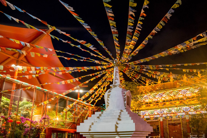 各种花样玩法大全,花样的玩法后续